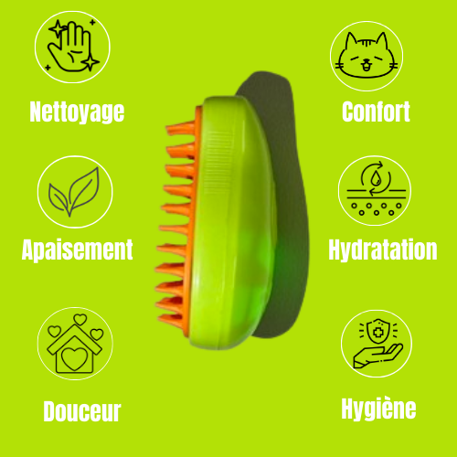 Brosse a vapeur électrique pour chat et chien